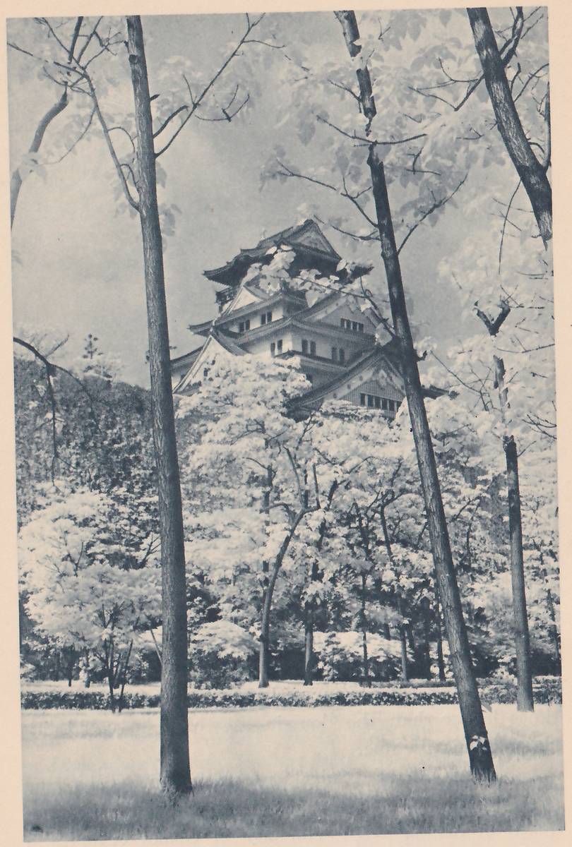 Black-and-white photograph of a white-walled building of stacked roofs with rows of small windows and gabled dormers, seen through the gap between tall bare trunks and pale leafy branches. Bright leafy trees fill the middle of the picture below it, a low clipped hedge runs across the lower middle, and open lawn fills the foreground. A wooded slope rises at the left behind the trees.