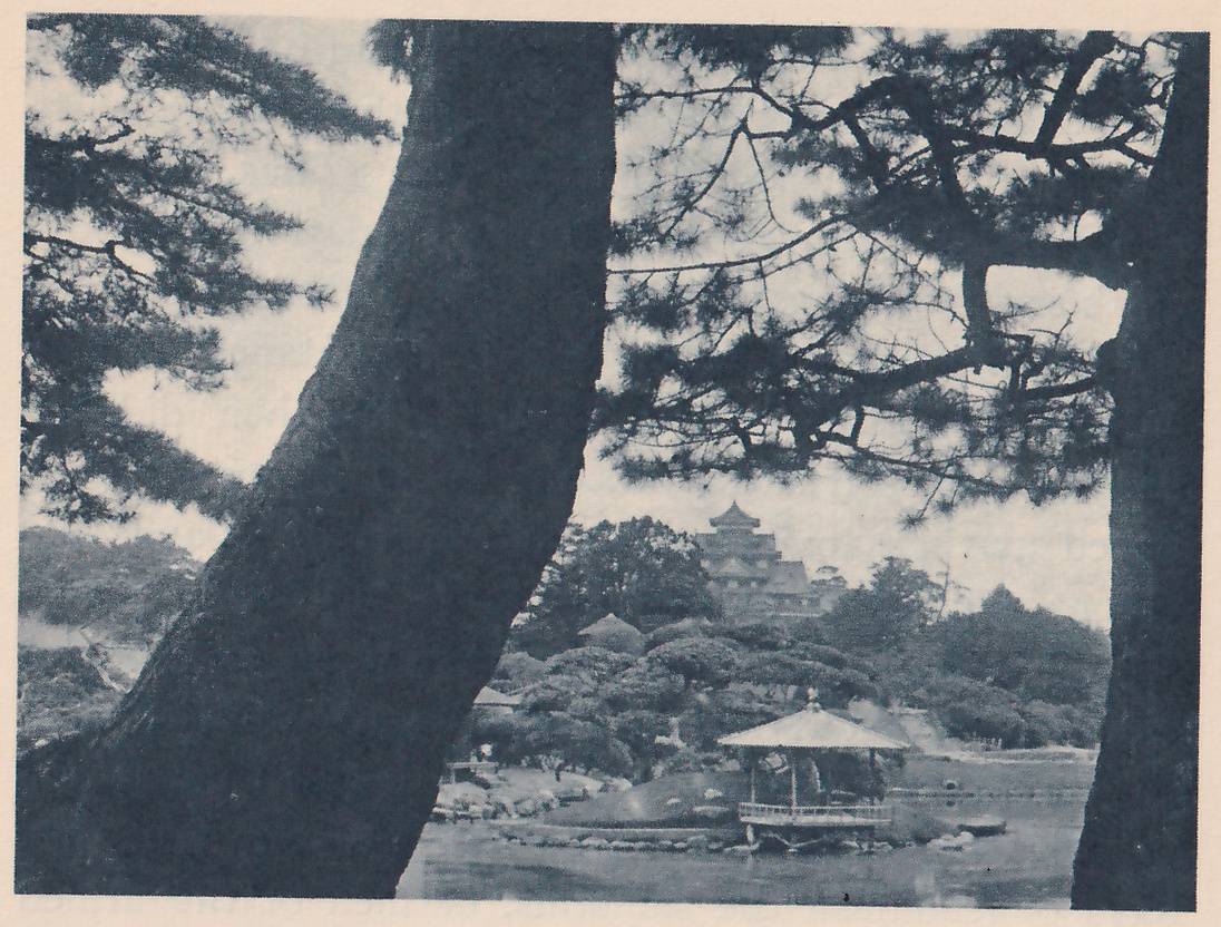 Black-and-white photograph looking between two large pine trunks, the left one slanting, with pine branches overhead, toward a pond. On the far bank stands an open pavilion with a wide roof and a railed floor, among rounded shrubs and clipped trees. A building of stacked roofs rises above the trees at the center, against the sky.