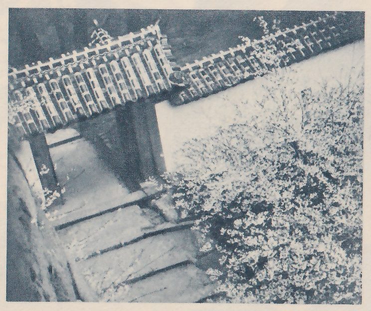 Black-and-white photograph, tilted so that its lines run diagonally, looking down at a small gateway with a tiled roof on two posts and a white wall with a tiled top beside it at the right. A flight of broad steps with dark edges leads away at the lower left. A shrub thick with small pale spots fills the right and lower center, and a dark mossy edge runs up the left side.
