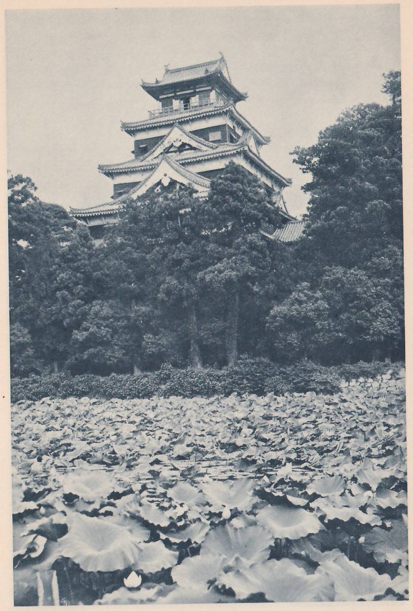 Black-and-white photograph of a building of stacked roofs with a railed upper level, rising above tall dark trees and a clipped hedge, across a pond filled with large round leaves. A small white blossom shows among the leaves at the lower center.