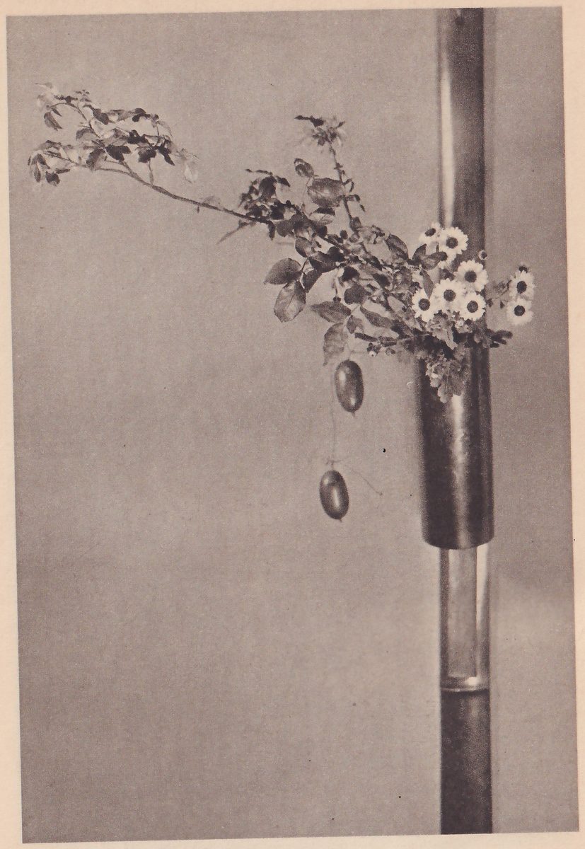 Close photograph of a bronze tube vase hung against a plain wall, holding a long leafy branch that reaches out to the left, a cluster of small white flowers and two small oval fruits hanging down.