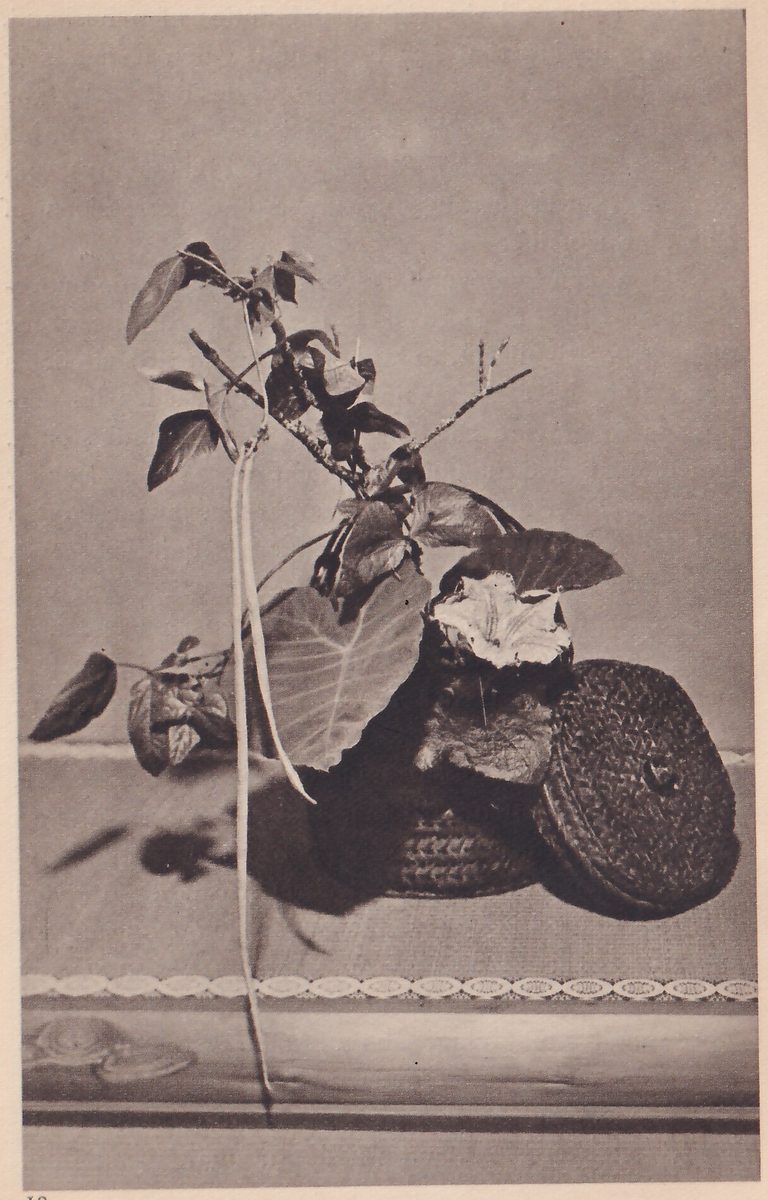 Photograph of a covered round basket on a mat with a leafy arrangement: large and small leaves, a branch with buds, a white flower at the basket's mouth and a long thin pod hanging straight down in front; the basket's lid leans against it at the right.