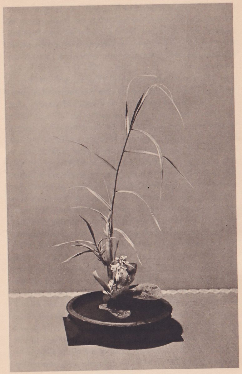 Photograph of a tall slim arrangement of grass blades, leaves and a few small flowers rising from a low round dark dish that stands on a mat, against a plain wall.