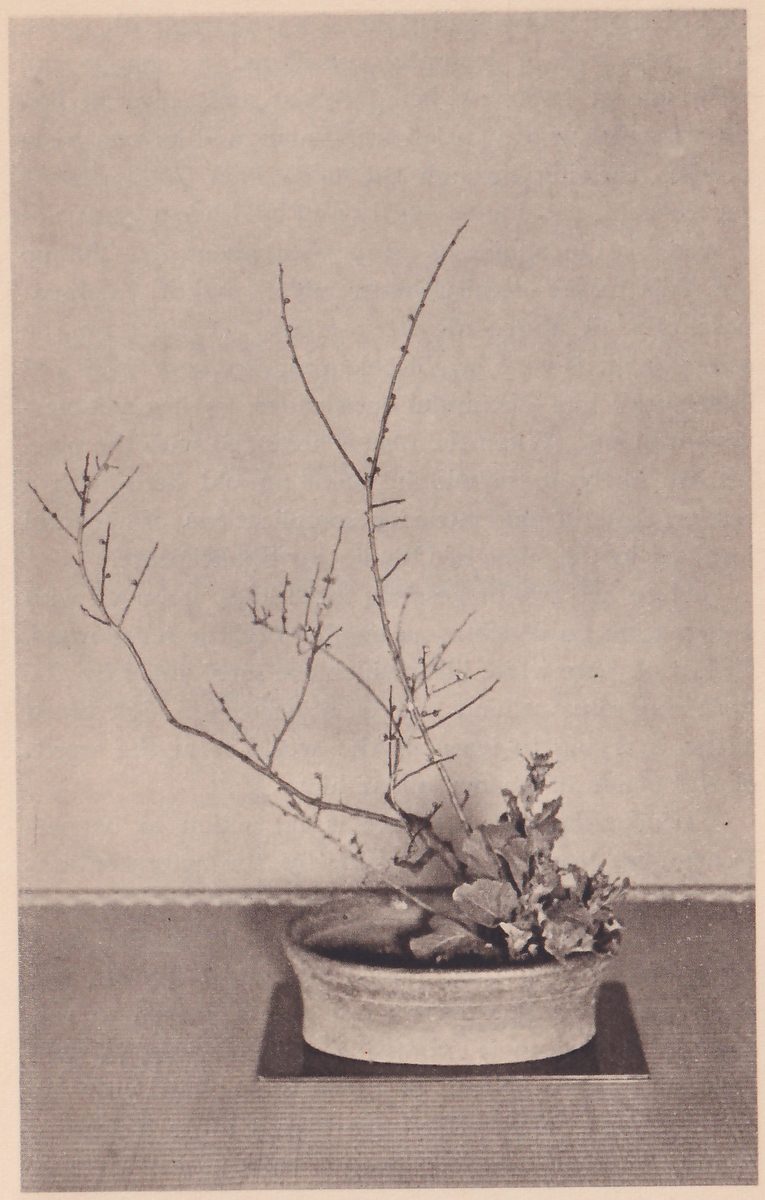 Photograph of a low pale round bowl on a dark square board, holding a few broad leaves at the right and tall bare branches with buds that rise and sweep out to the left.