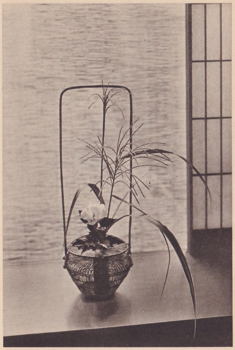Photograph of a round covered basket with a tall upright loop handle, holding tall grass plumes, long drooping leaves and one white flower, standing on a shelf beside a window of paper panes.