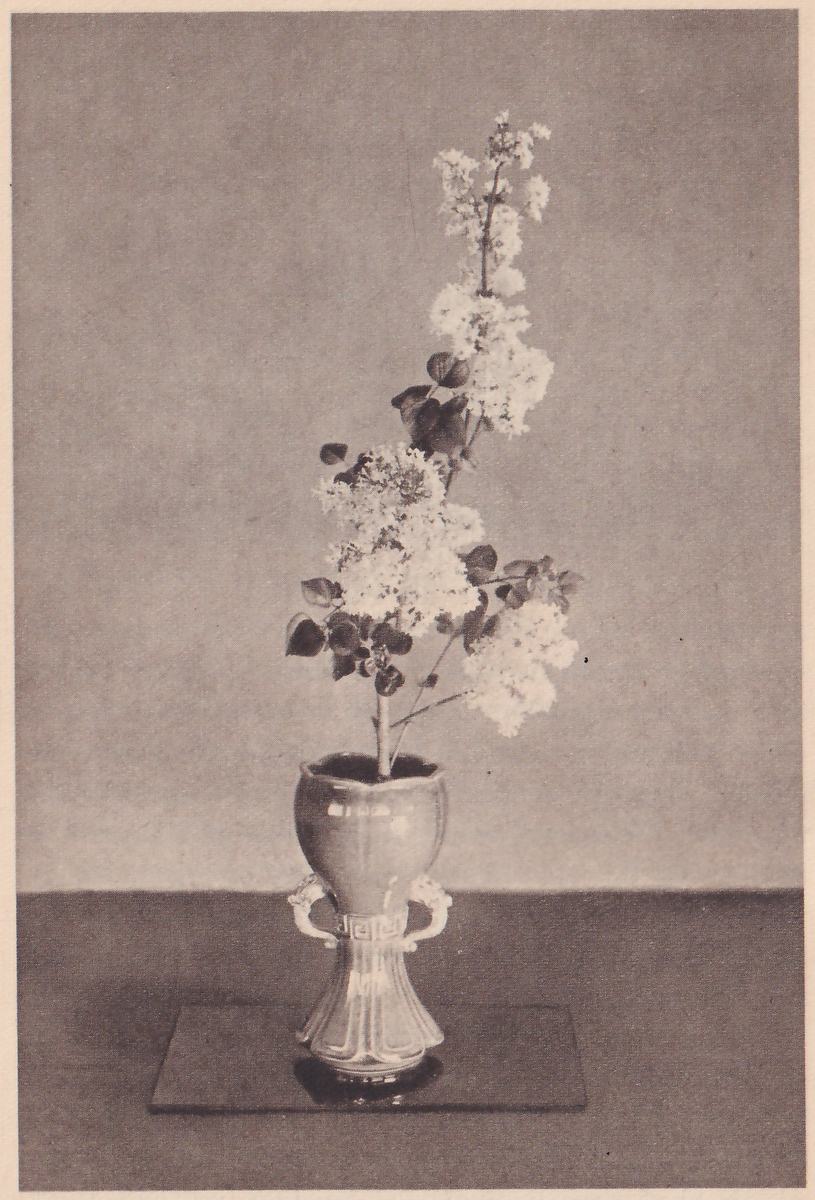 Photograph of a flowering branch with white flowers standing in a pale footed vase with two handles on a dark mat, the branch leaning a little to the right with leaves low on the stem.