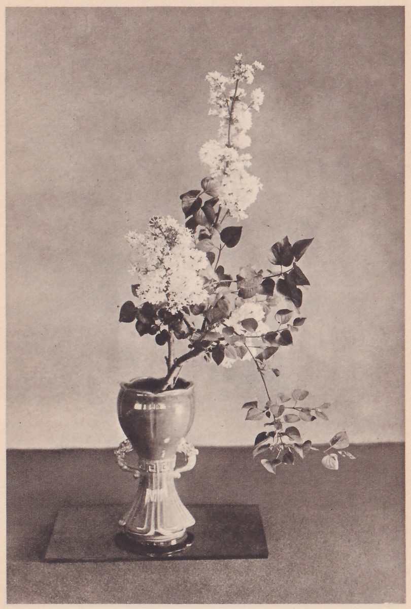 Photograph of white flowers in the same footed vase, now with a second branch added that leans out to the right with leaves reaching out and down, and flowers at the center.