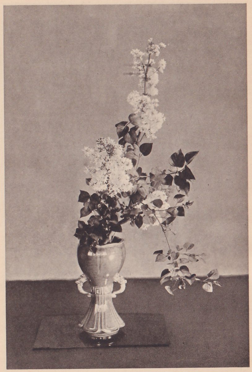 Photograph of white flowers in the same vase with a fuller set of branches: a tall center stem, a branch swinging out to the right and low leaves at the front of the vase.