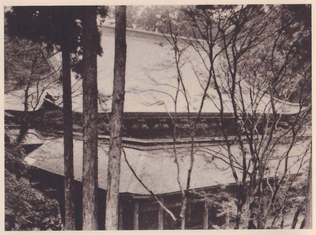 Photograph of the sloping tiled roofs of a large building seen through tall tree trunks and bare branches; a wide upper roof rises behind a lower roof, and several trunks stand in the left foreground.