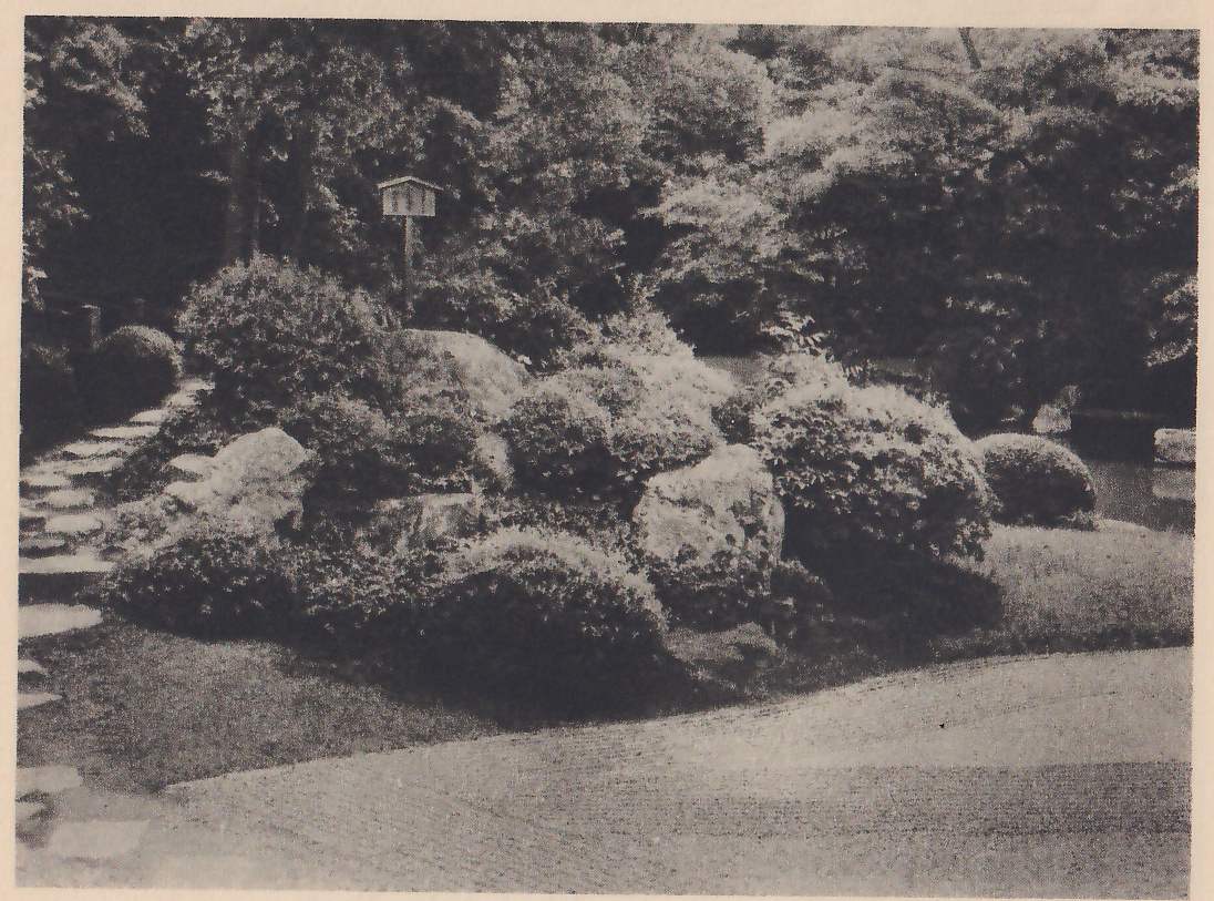 Photograph of a mound of rocks and rounded clipped shrubs behind a lawn and a wide raked gravel path in the foreground, with a line of flat stepping-stones at the left, a small signboard on a post among the shrubs, its writing too small to read, and trees behind; a strip of pond shows at the right.