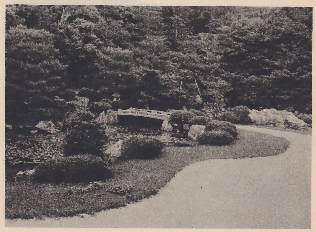 Photograph of a curving wide path of pale gravel in the foreground, with a mown grass bank and rounded clipped shrubs along its edge, a small wooden bridge with a railing over a pond with floating leaves at the left, and a tall wall of pines and other trees behind.