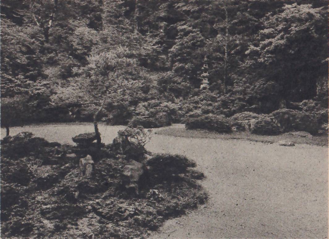 Photograph of a wide plain of smooth gravel at the right and center, with a low mossy mound of rocks and small clipped shrubs at the left in which a small bent pine grows, rounded shrubs along the far edge, and a tall tiered stone tower standing among tall trees at the upper right.