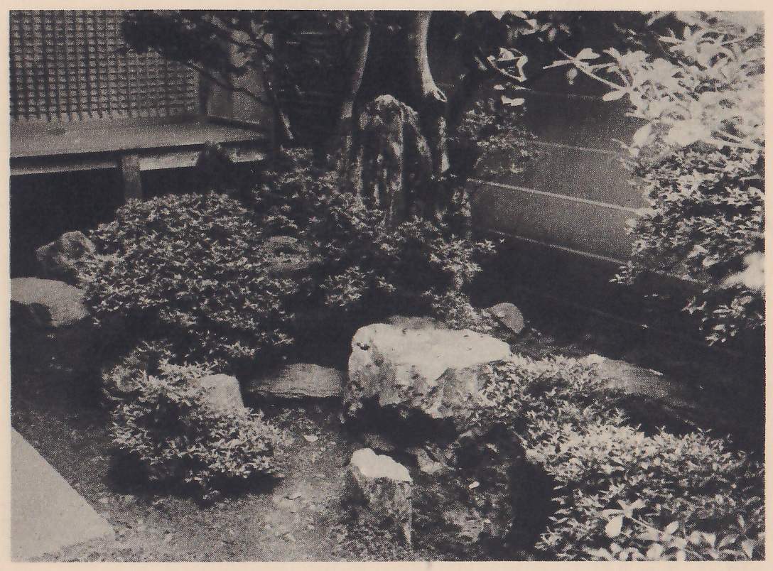 Photograph of a tight corner of rocks and low clipped shrubs under a tree with a slim, curved trunk, with a tall rough upright stone against the trunk, a large flat-topped rock at the center and a smaller upright rock before it; at the upper left a raised wooden verandah backs onto a lattice screen, and a plank wall fills the right.