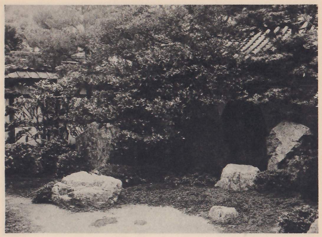 Photograph of a small garden corner: a patch of pale gravel at the lower left with a large flat rock beside it, a smaller rock and a stone farther right on a bed of moss, a tall upright stone at the right, and a thick mass of leafy shrubs and a pine above them in front of a roofed wall.