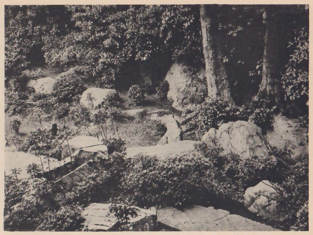 Photograph of a rock garden on a slope: large pale rocks and flat slabs set among leafy shrubs, with a tall upright stone at the center, two thick tree trunks at the upper right, and a flat slab lying across the foreground.