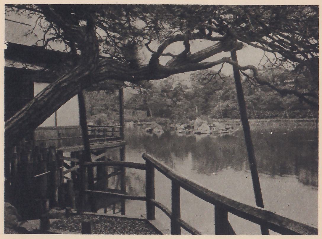 Photograph from under a leaning pine: its heavy trunk and a long limb cross the top of the picture, a slanting prop pole stands at the right, and a wooden railing in the foreground and a building with a railed porch at the left overlook a wide pond with rocks along its far shore and trees behind.