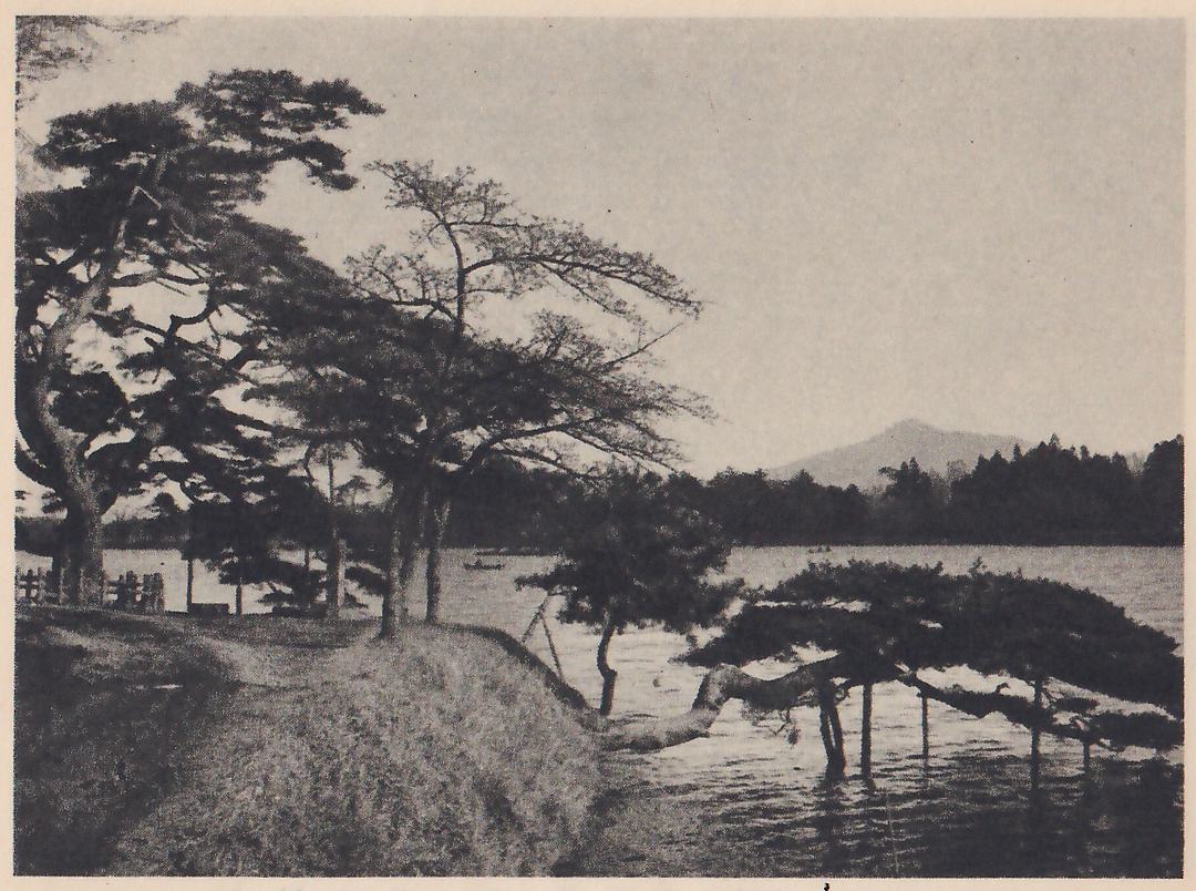 Photograph of a grassy bank at the left with a path along its top and a fence at the far left, tall pines leaning over it, and a pine whose long limb stretches out over a wide lake at the right, held up by props standing in the water; a small boat and a dark wooded far shore and a distant peak lie across the lake.