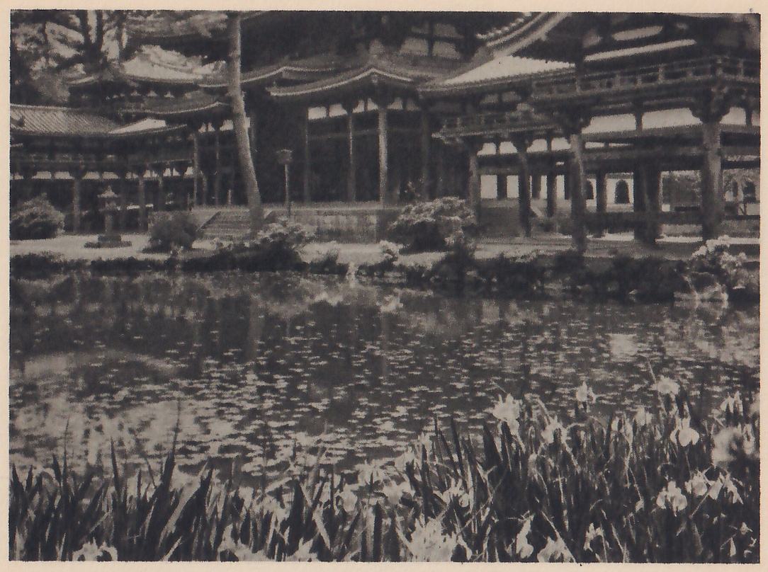 Photograph across a pond with floating leaves to a long hall on the far bank, with tiled eaves, open posts and an upper railing, a stone lantern at its left and one tall pine trunk standing in front of it. Irises with pale flowers fill the foreground along the lower edge.