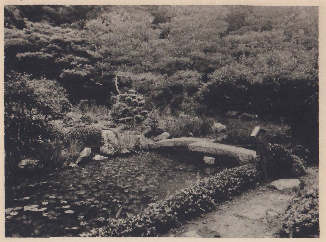 Photograph of a small pond with water lilies at the lower left and a low, flat stone bridge across its far end; rocks and low plants line the near-left bank, a clipped hedge runs along the foreground, pines and shrubs fill the background, and a small roofed signboard stands on a post at the right end of the bridge.