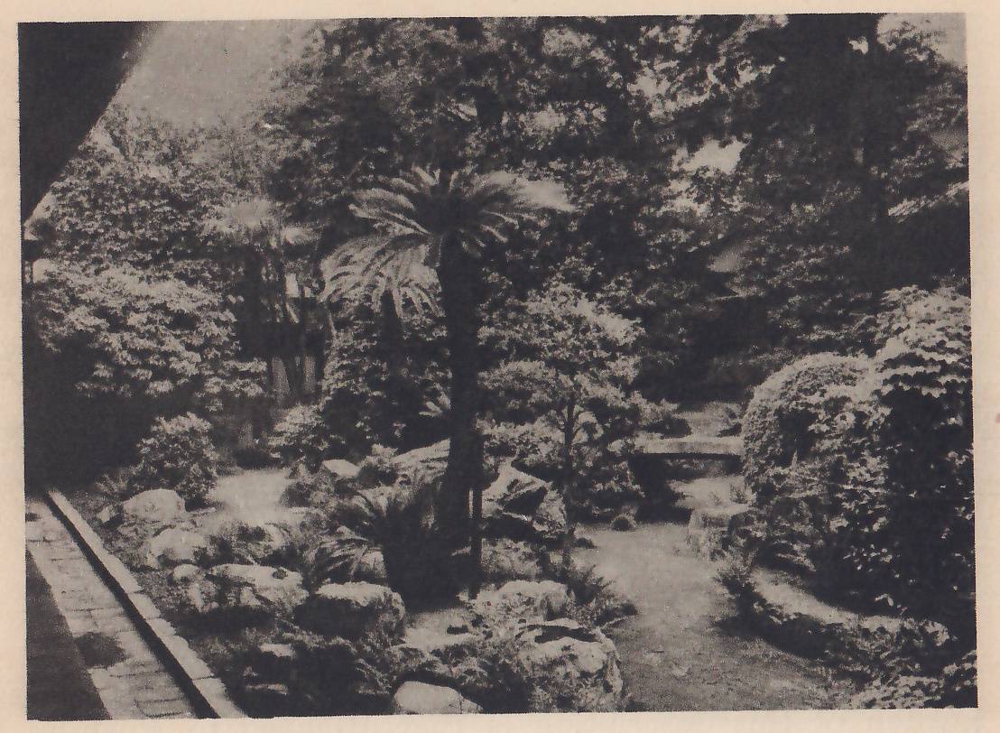 Photograph of a garden seen from under a building’s eaves at the upper left: a tree with a thick, shaggy trunk and a crown of long fronds stands in the middle among rocks, ferns and clipped shrubs, a bare path winds back between them to a flat stone bridge, and a paved gutter runs along the lower left.
