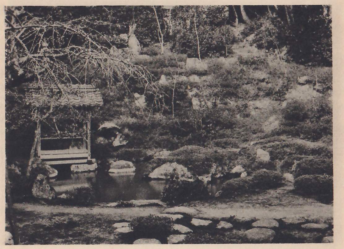 Photograph of a sloping garden of clipped shrubs and rocks rising behind a small pond, with a small open pavilion with a shingled roof at the left over the water’s edge, a path of round stepping-stones along the foreground, and bare drooping branches across the upper left.
