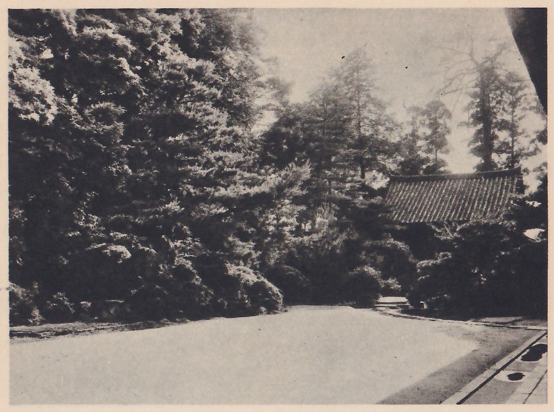 Photograph of a wide, flat expanse of sand in the foreground, with a bank of dense evergreens and shrubs rising at the left and tall trees behind. A building with a tiled roof stands at the right in the distance, and the edge of a roof overhangs the upper right corner.
