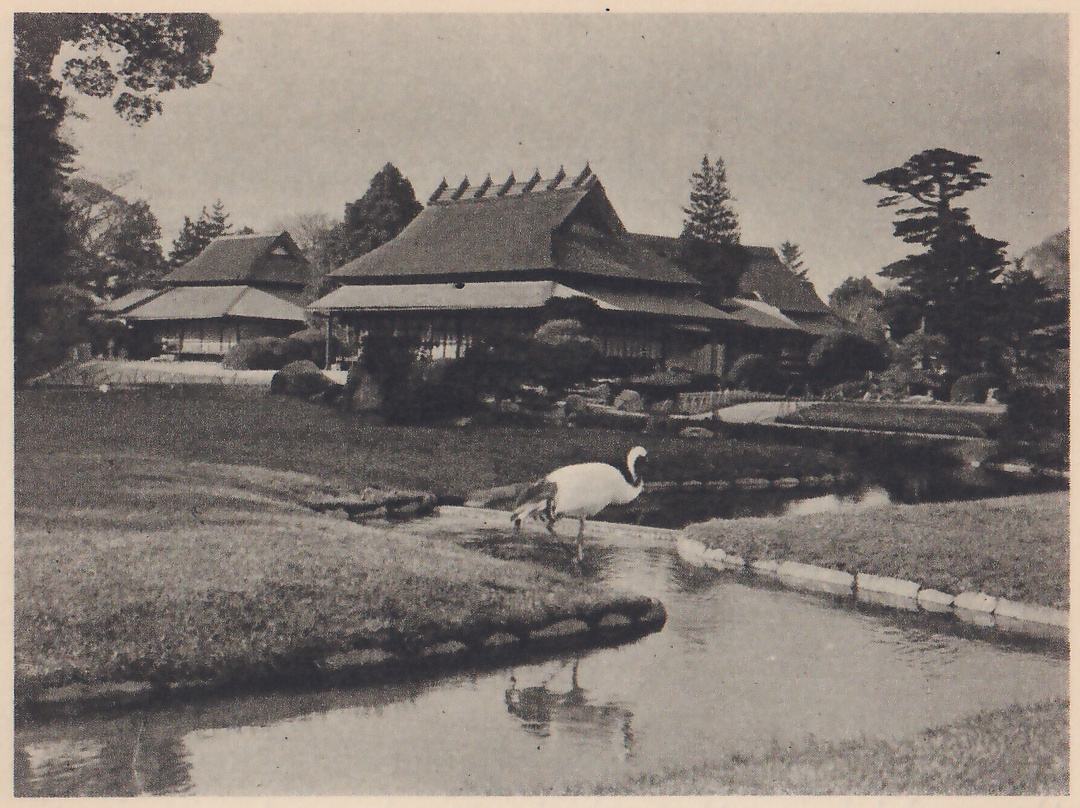 Photograph of a shallow stream curving across a lawn, with a large white bird with long legs standing at the water’s edge in the middle and its reflection below. Behind it stand a long low house with heavy roofs and a row of crossed beams along the ridge of the tallest, a few pines, and a bank edged with a row of stones at the right.
