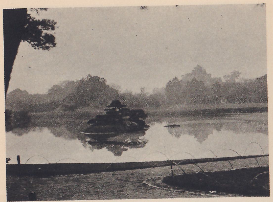 Photograph across a misty pond to a small island with one clipped pine, with wooded shores behind and the faint outline of a castle roof above the trees at the right. The pond’s near edge is bordered by a long low bank with arched wires or canes standing along it, and a pine trunk rises at the upper left.