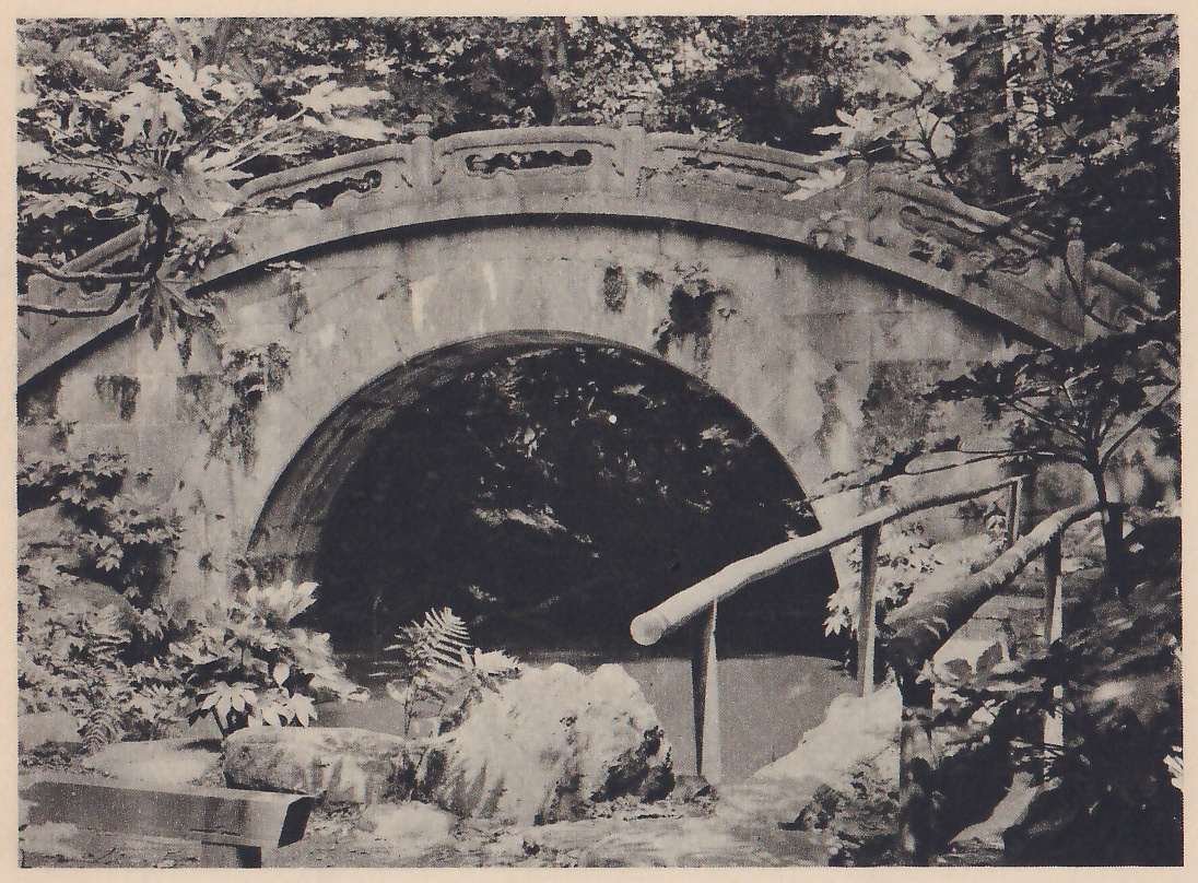 Photograph of a single-arched stone bridge with a carved low parapet, seen from the side with its dark arch open over the water below, hemmed in by broad-leaved plants. A long smooth pole on posts slants across the right foreground, a large rock stands at the foot of the arch, and a worn wooden beam lies at the lower left.