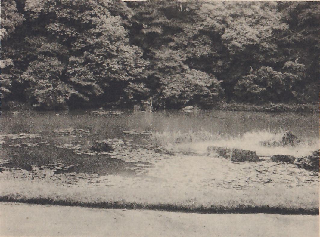 Photograph across a pond with floating leaves to a wooded far shore, with a few rocks standing at the water’s edge at the right and a grassy bank with a bare path along the foreground.