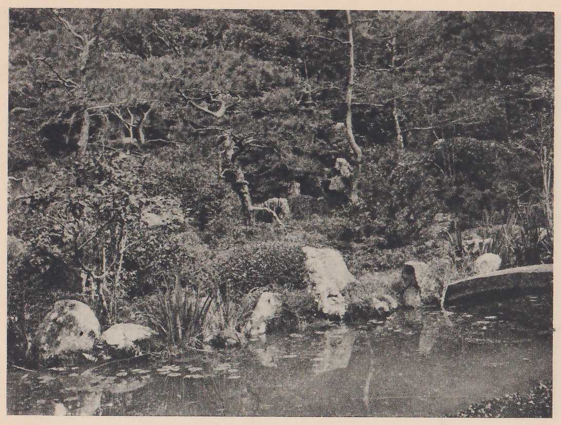 Photograph of a still pond with rocks and tufts of iris-like leaves along its bank, a low curved stone bridge at the right edge, and a wooded hillside of pines and shrubs rising behind, with a few pale rocks among them.