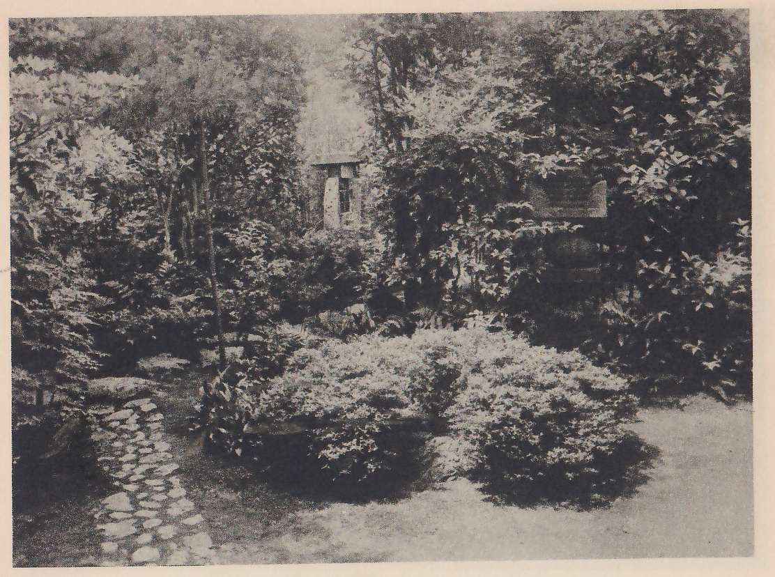 Photograph of a path of small stones leading back at the left through rounded shrubs and taller trees, with a tall slim stone lantern showing among the leaves at the center and bare ground at the right.