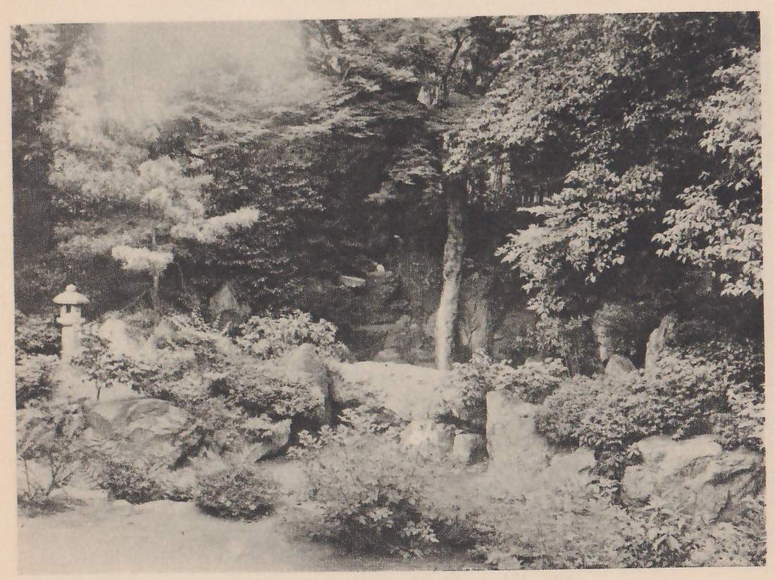 Photograph of a garden with rocks and leafy shrubs in the foreground, a small stone lantern at the left, a pine at the left center, and a dark rock face at the center under overhanging maple branches; a tall upright stone stands at the right.