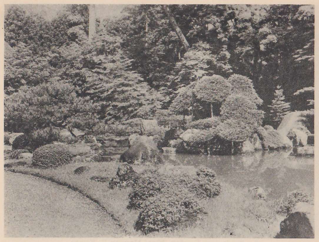 Photograph of a pond garden: a curving grassy bank with rounded shrubs in the foreground, a still pond at the right, and on the far side rocks, clipped pines and other trees, with a pale waterfall at the upper right edge.