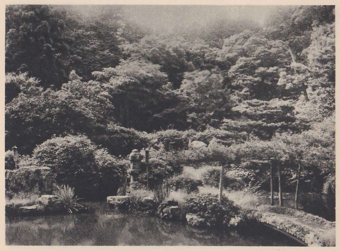 Photograph of a pond in the foreground with a small stone lantern, rocks and clumps of grass along its far bank, a long horizontal pine branch trained out over the water at the right on slender props, and dense trees rising behind in mist.