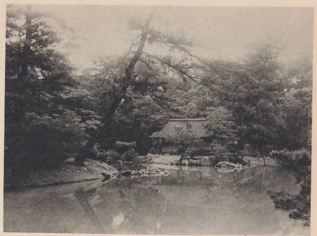 Photograph across a still pond to a thatched-roof house on the far bank among pines and other trees, with a tall pine leaning across the upper left and a low bank and a few rocks along the water’s edge in front of the house.