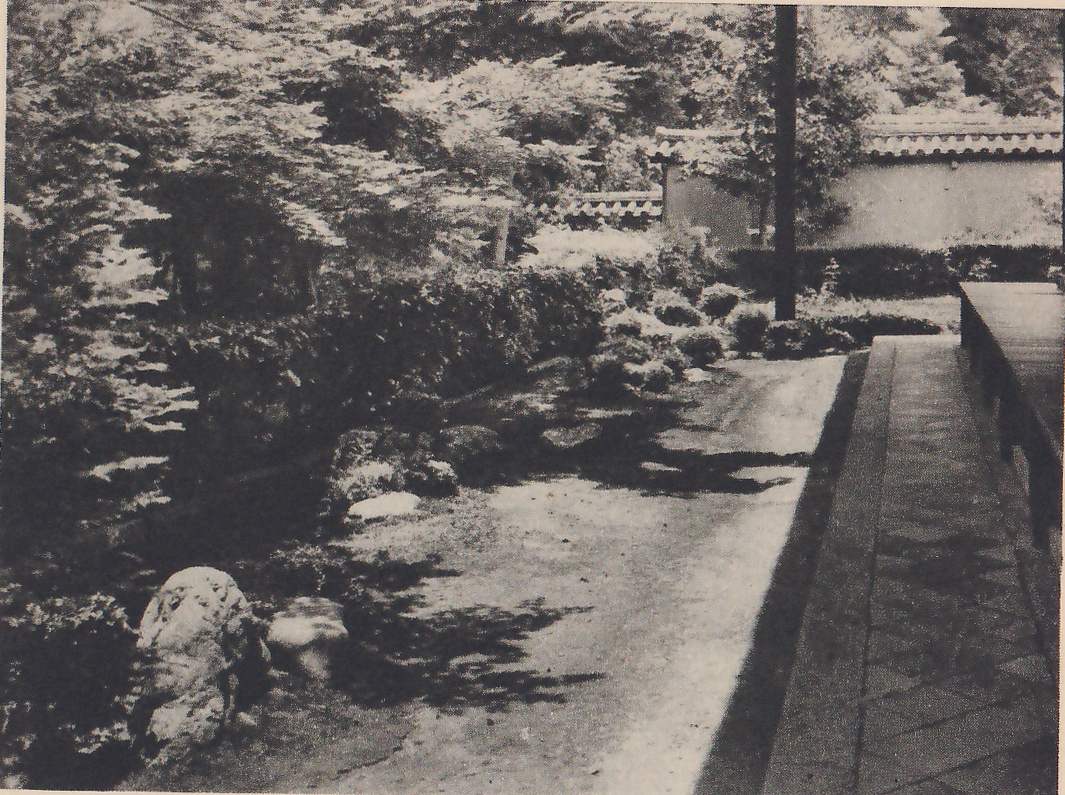 Photograph of a worn, bare path of pale earth running back between low shrubs and rocks at the left, with a few rocks near the foreground, and a raised wooden verandah with a ridged floor along the right; maple branches overhang the path, and a wall with a tiled top and a post show at the back.