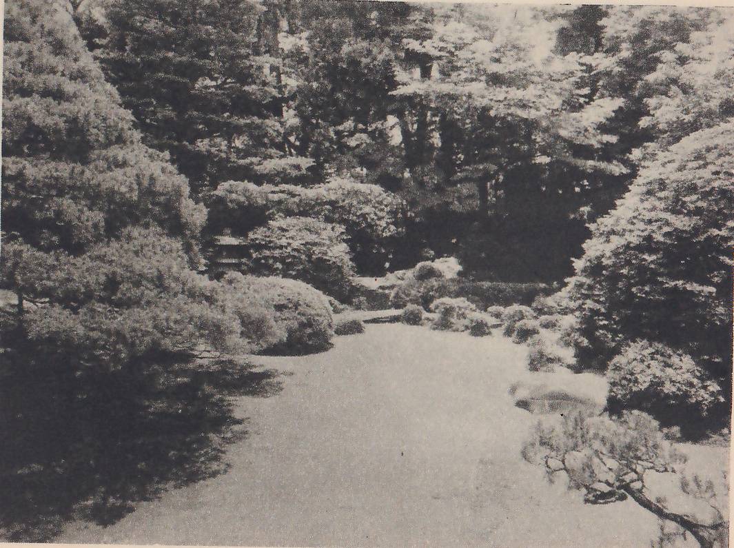Photograph of an open bed of smooth gravel in the foreground, with rounded clipped shrubs and clipped pines around it, a pine branch reaching in at the lower right, and a small flat rock and a little stone lantern among the shrubs; tall trees rise behind.