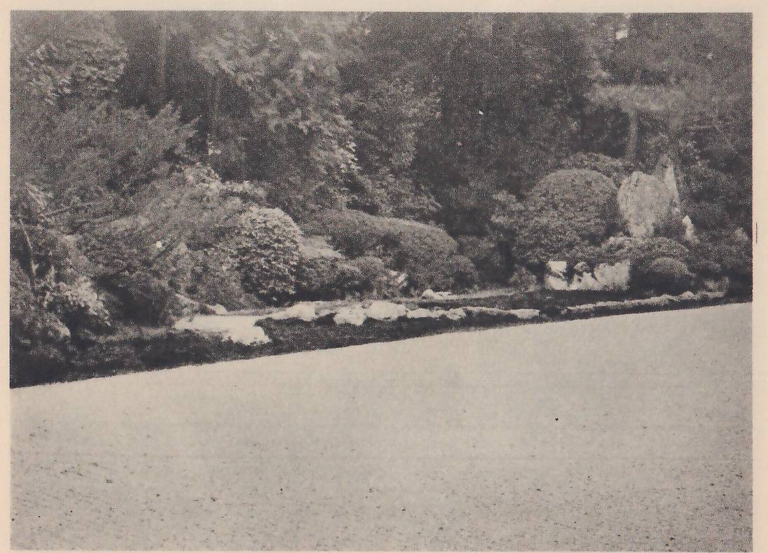 Photograph of a very wide, empty plain of smooth gravel in the foreground, with a narrow strip of low rocks and moss along its far edge and, behind it, rounded clipped shrubs, a taller upright rock at the right, and trees rising behind.