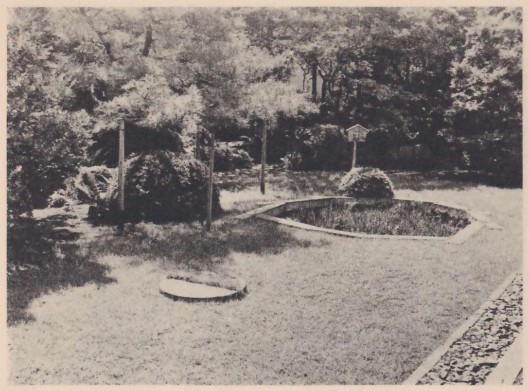 Photograph of a lawn garden with a small angular pond edged with narrow stone slabs at the upper right, holding upright leaves, a rounded shrub and a small signboard on a post beside it, a flat round slab in the grass at the center, and slim trained trees on poles at the left; a strip of paving runs along the lower right edge.