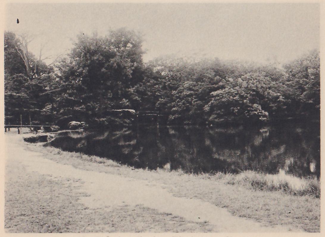 Photograph of a dark pond with a dense wall of trees along its far shore reflected in it, a worn path of pale earth curving along the near shore across the foreground, and a low rail or jetty at the far left.