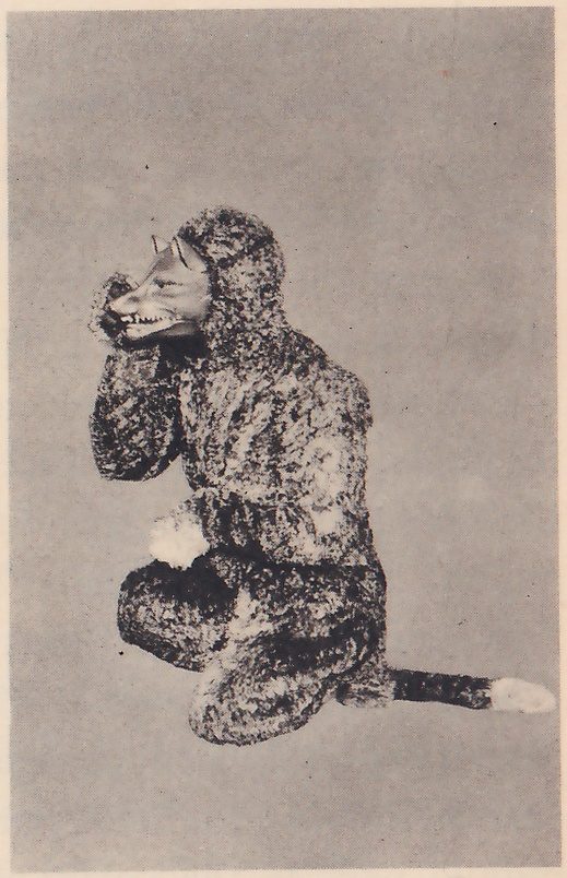 Photograph against a plain gray ground of a figure kneeling in a thick shaggy dark costume with a hood and a long tail with a pale tip, turned toward the viewer's left and wearing a mask of an animal's head with pointed ears, a long snout and bared teeth; one hand is raised beside the snout and a pale tuft shows at the other.