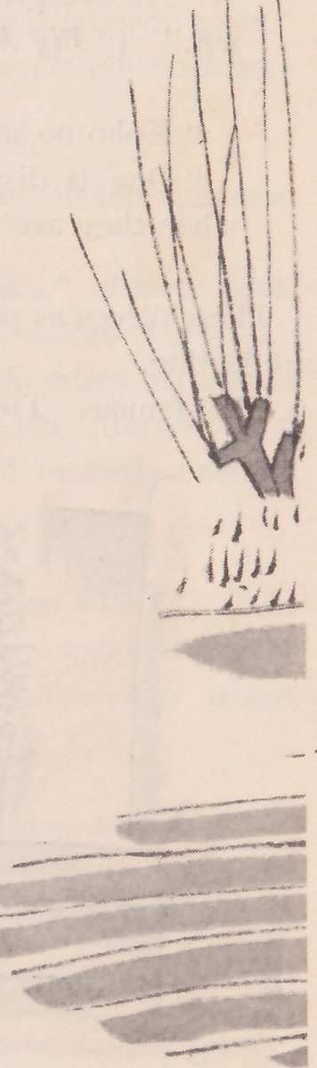 Left part of one drawing: ink strokes of bare willow branches above a plot of ground and bands of gray wash, cut off at the right by the edge of the picture.