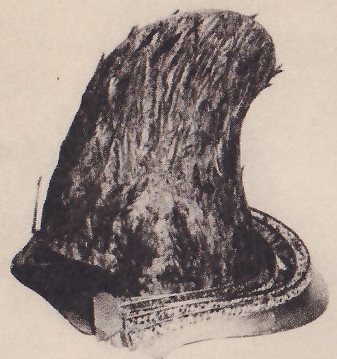 The upper left of four black-and-white photographs on the page: a tall dome with a streaked, rough surface, higher at the right and sloping down to the left, rising from a thin rim with a patterned edge.