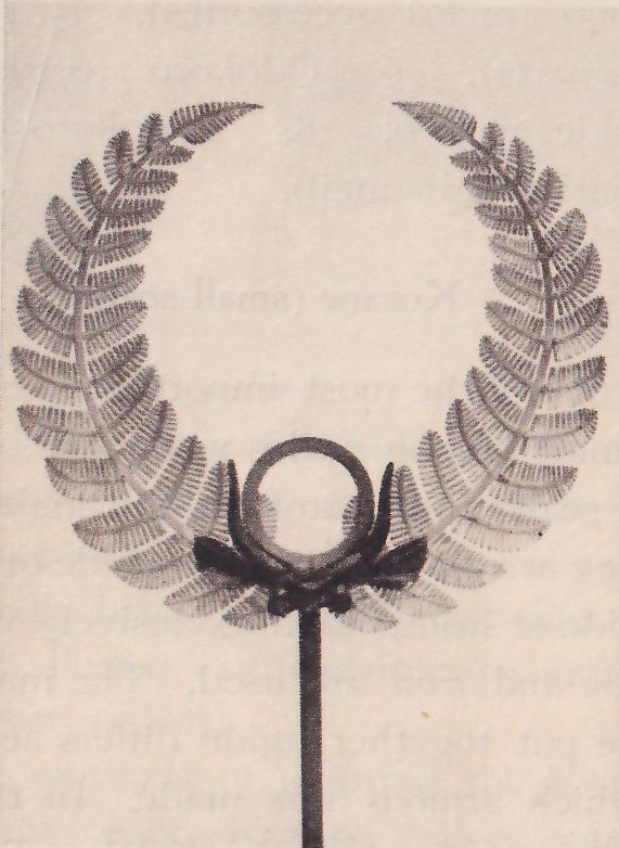 Black-and-white photograph of two curving fern-like fronds, each with many small leaflets along it, rising from either side of a small dark knot that holds a small ring at the center. They stand on a thin dark post that runs down to the bottom edge.