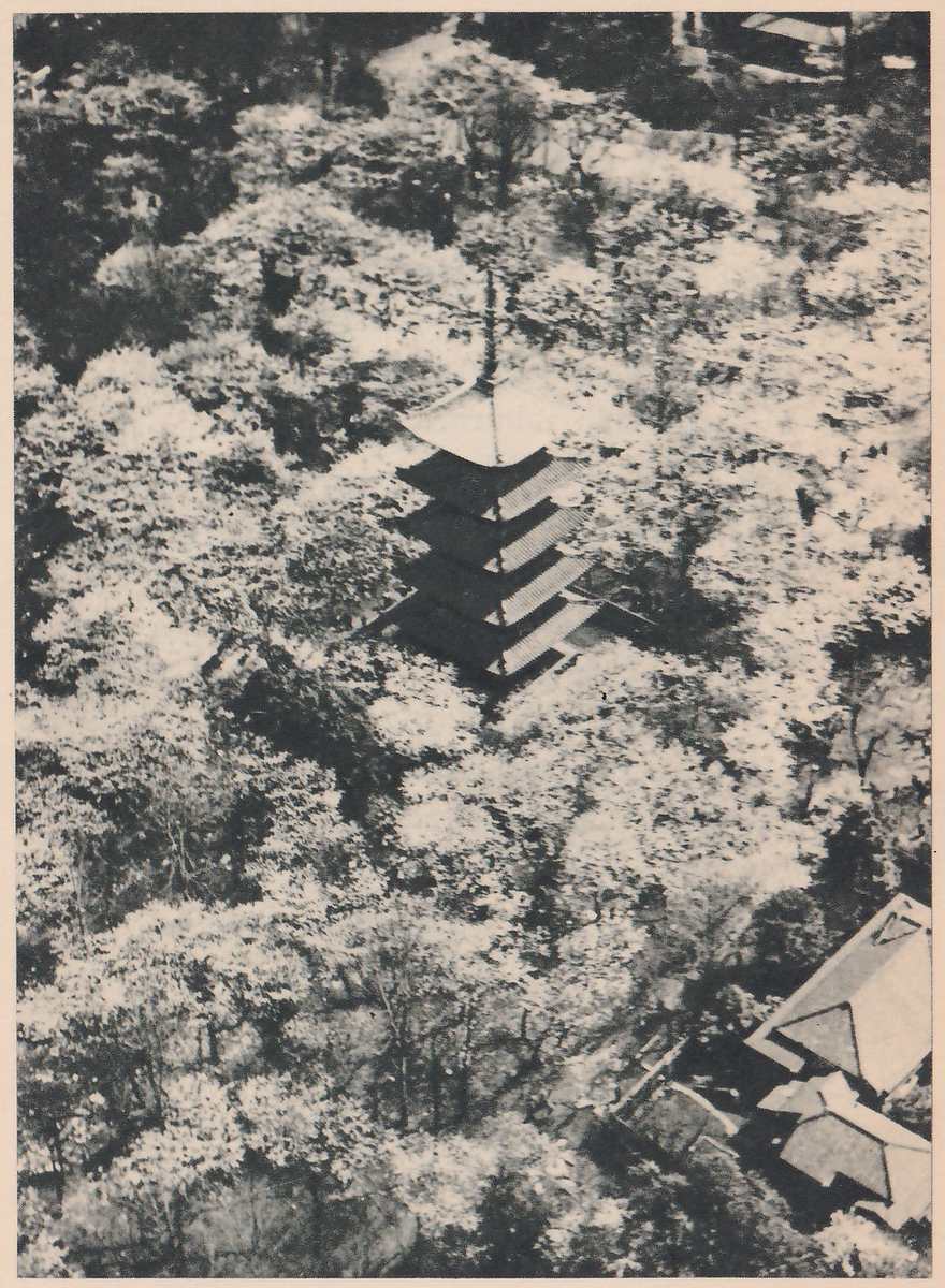 Black-and-white photograph taken from above of a mass of blossoming treetops, with a tower of stacked roofs and a thin spire rising from among them at the center. The corners of other roofs show at the lower right and at the top right.