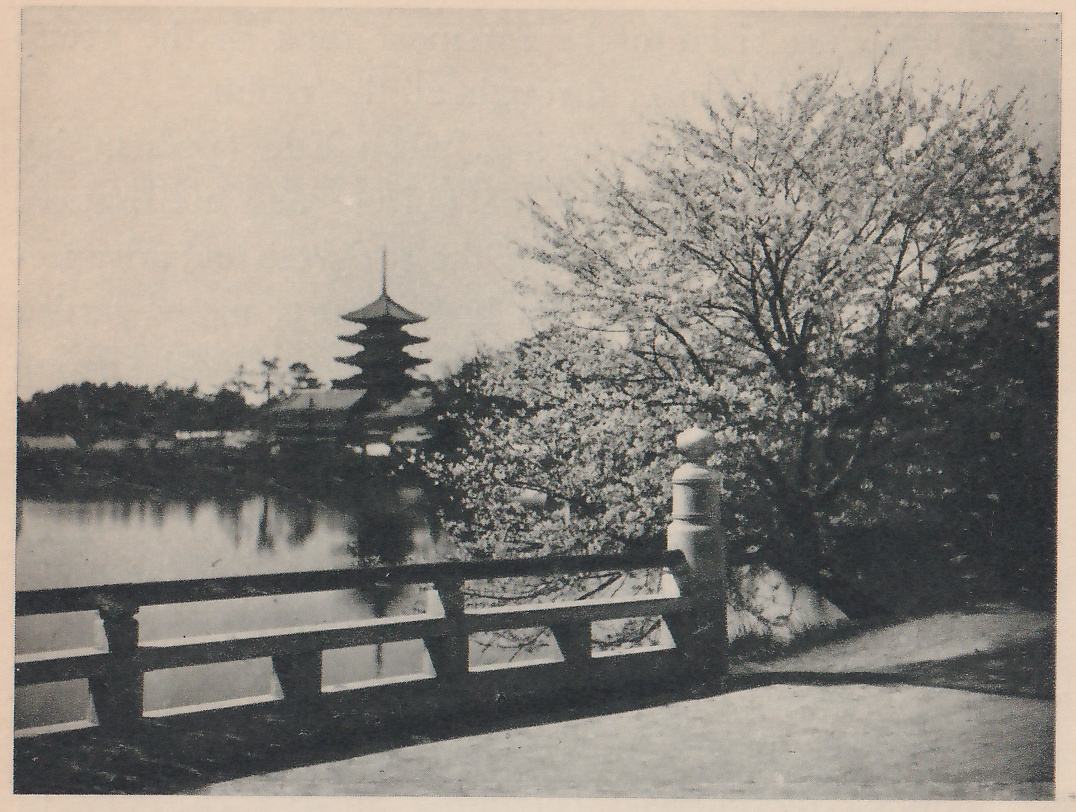 Black-and-white photograph across a still pond. On the far shore at the left a tower of stacked roofs with a spire stands beside a low building with a wide roof, among dark trees. At the right a tree covered in blossom leans over a railing with square posts that runs diagonally from the lower left to a rounded post at the right. A pale paved area fills the foreground.