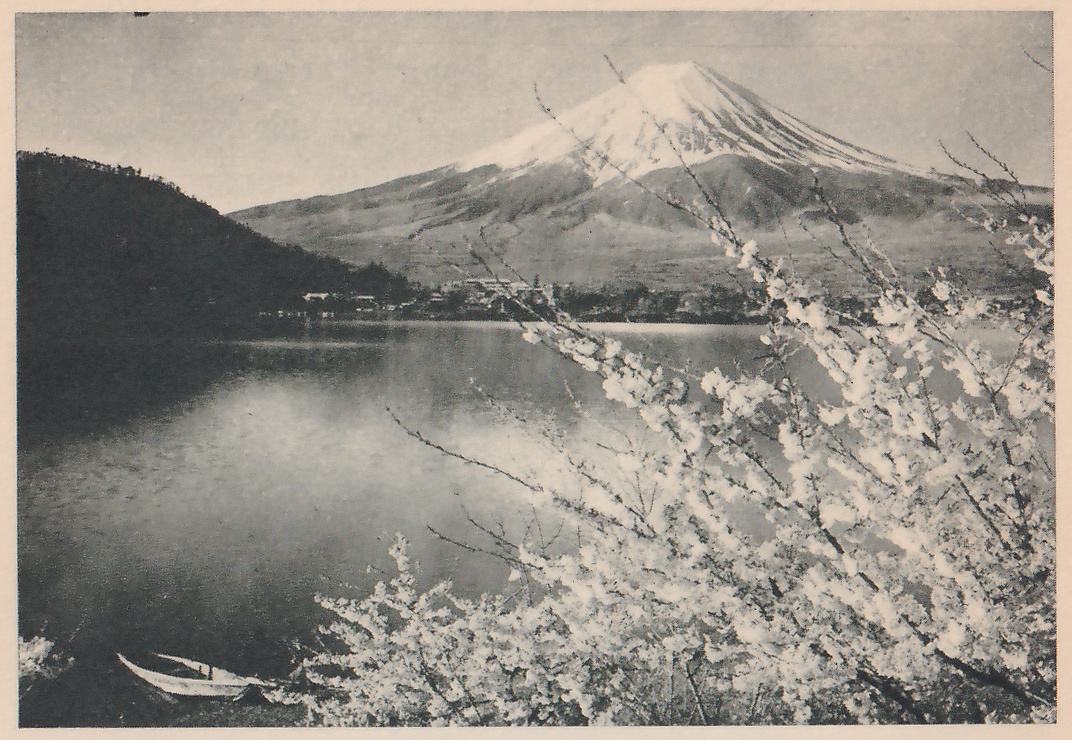 Black-and-white photograph of a lake in front of a mountain with a white upper part, under a pale sky. A dark wooded hill slopes down at the left, and small buildings line the far shore at the foot of the mountain. At the right a branching spray of blossoms fills the foreground, and a small light boat lies at the lower left on the shore.