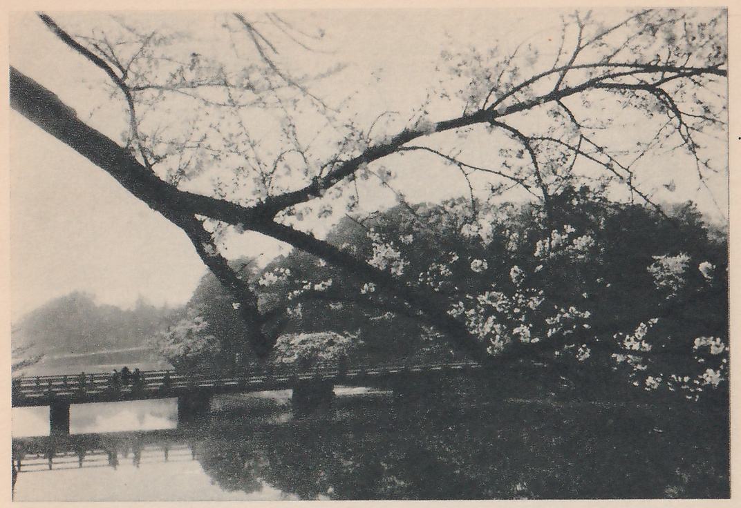 Black-and-white photograph of a still, dark pond with a bridge crossing it at the left. A bare limb slants down from the upper left across the picture and branches into fine twigs with blossoms, and a dark mass of foliage with blossoms fills the right half. The bridge has a railing along its length and rests on blocky supports, with a few small figures standing on it near the left; its reflection lies in the water below. A hazy shore with trees shows in the distance at the left.