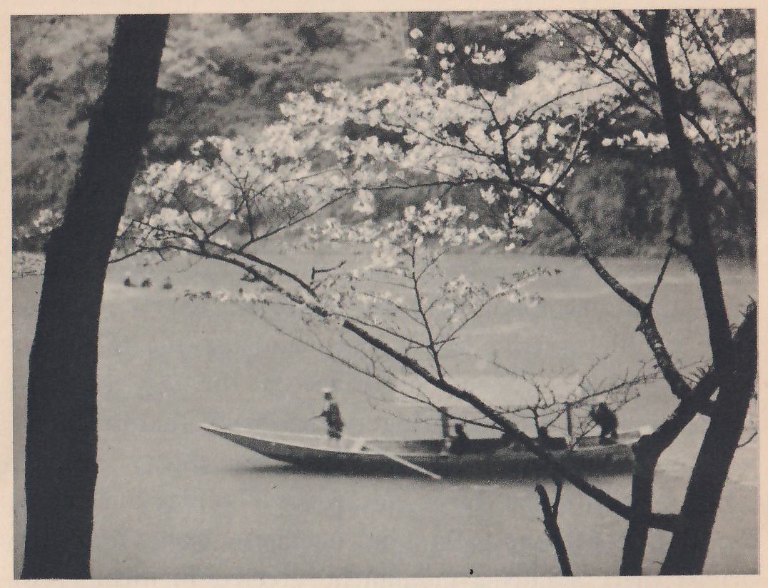 Black-and-white photograph of a long narrow boat on smooth water, seen from the side, with a figure standing at its left end and other figures sitting or crouching toward the right. A dark tree trunk rises at the left edge and another at the right edge, with a branch of blossoms crossing the picture from the upper right toward the lower left. Dark wooded slopes fill the background.